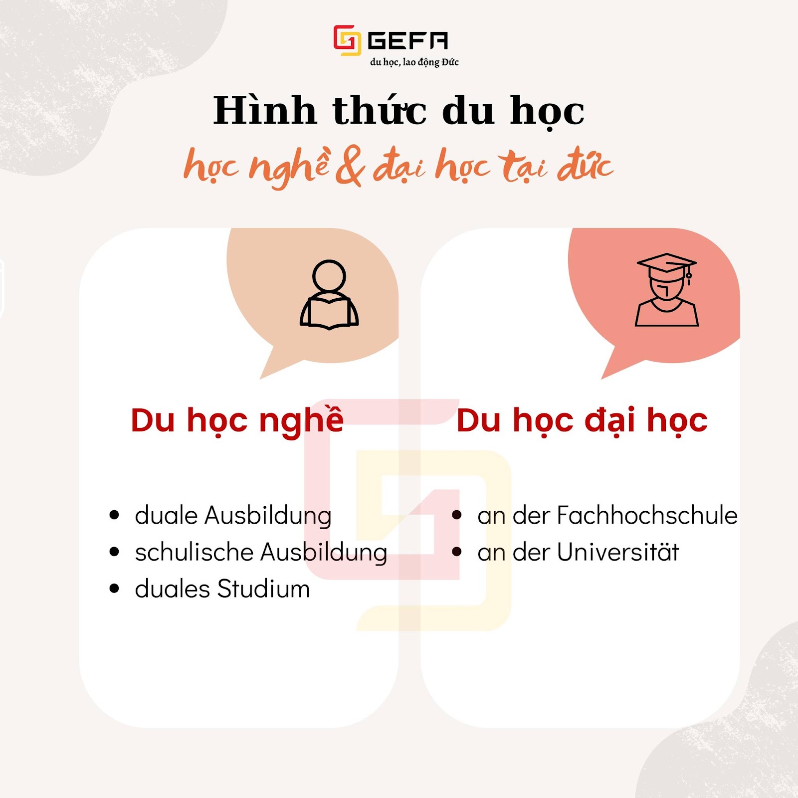 Khám phá cơ hội du học Đức cùng CMMB: Hành trình tri thức mới!